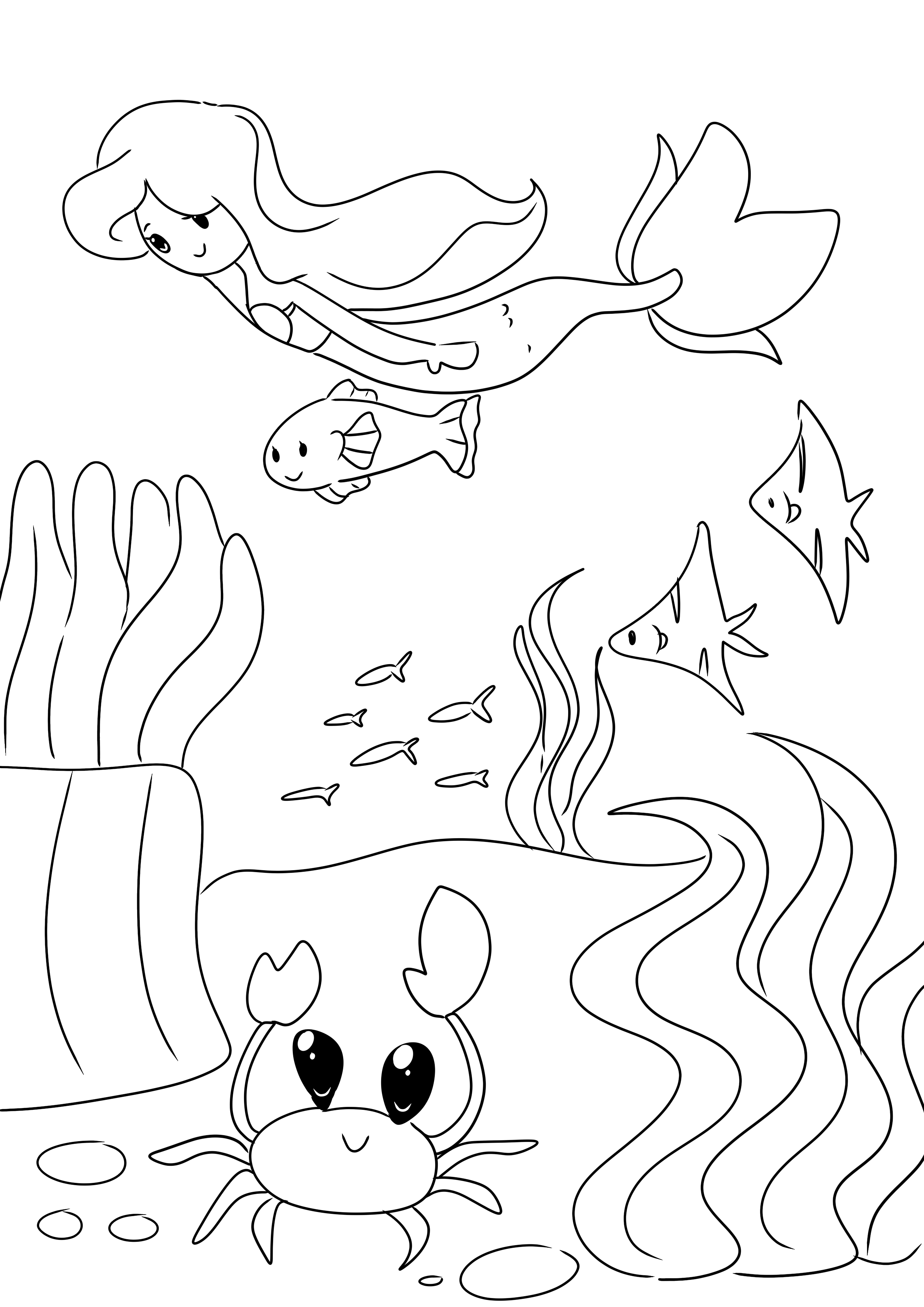 Preview 4
